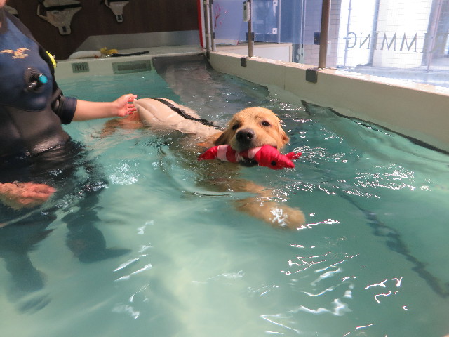 ファイル 7096-3.jpg