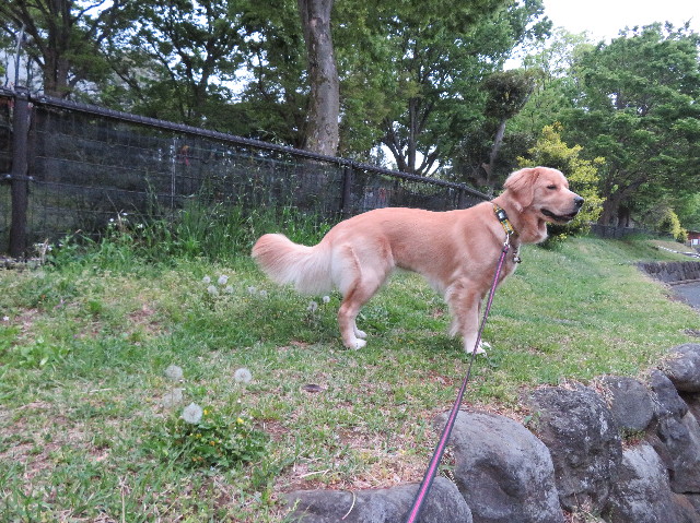 ファイル 7099-1.jpg