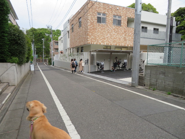 ファイル 7099-4.jpg