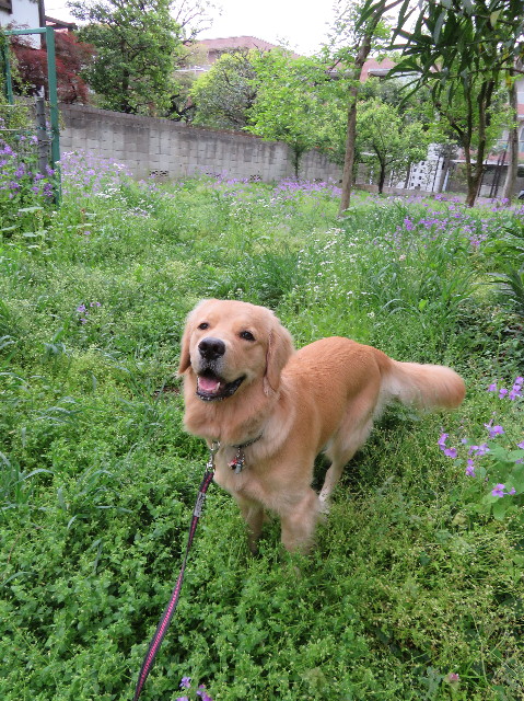 ファイル 7102-2.jpg