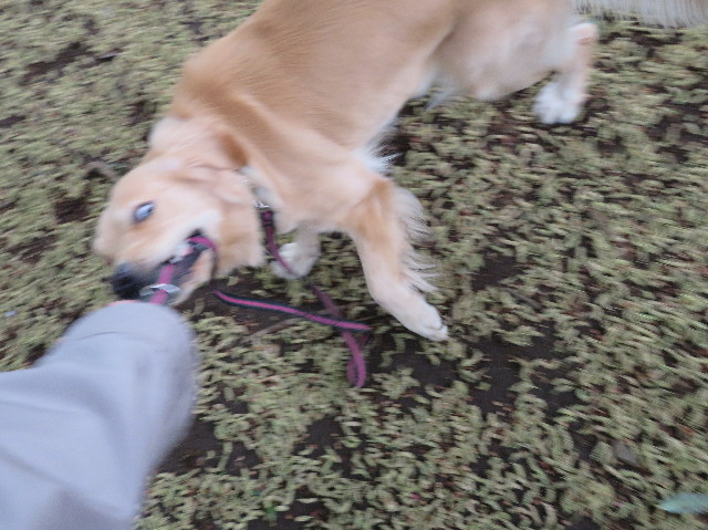 ファイル 7103-4.jpg