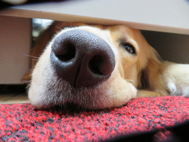 ファイル 7107-4.jpg