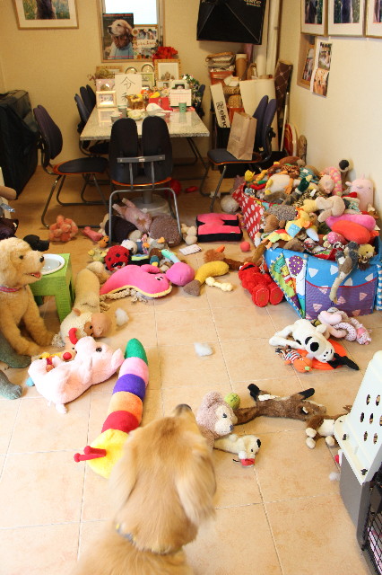 ファイル 7108-5.jpg