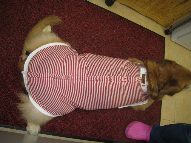 ファイル 711-3.jpg