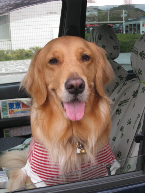 ファイル 711-4.jpg