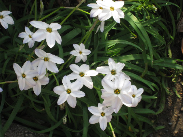 ファイル 711-5.jpg