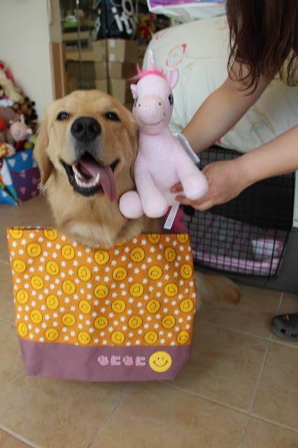 ファイル 7110-5.jpg