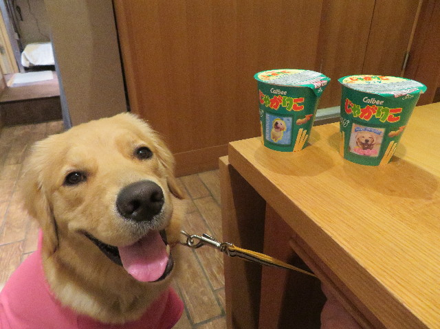 ファイル 7112-5.jpg