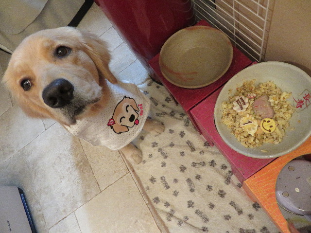 ファイル 7113-5.jpg