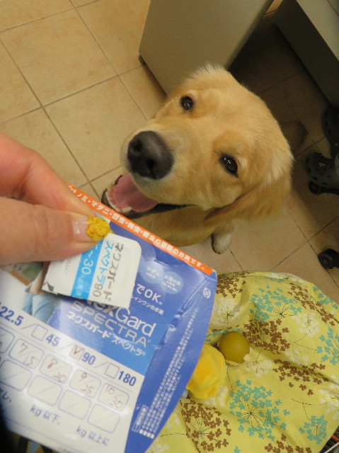 ファイル 7114-4.jpg