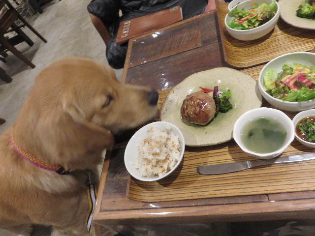 ファイル 7118-4.jpg