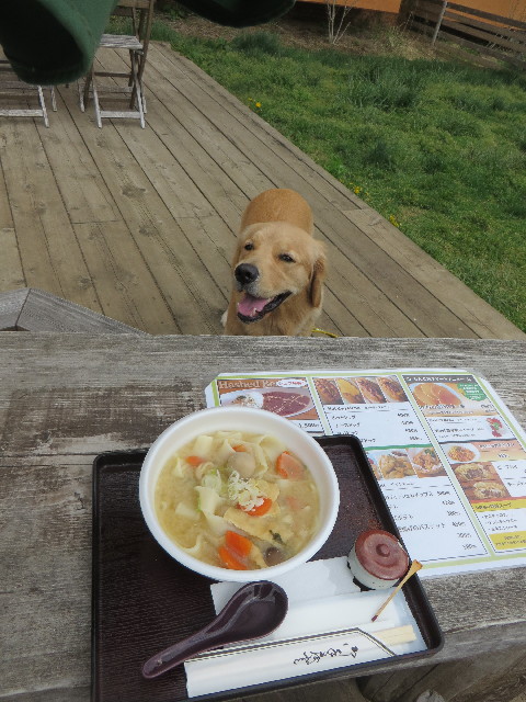 ファイル 7119-1.jpg