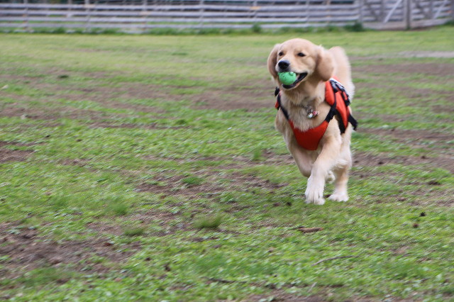 ファイル 7119-2.jpg