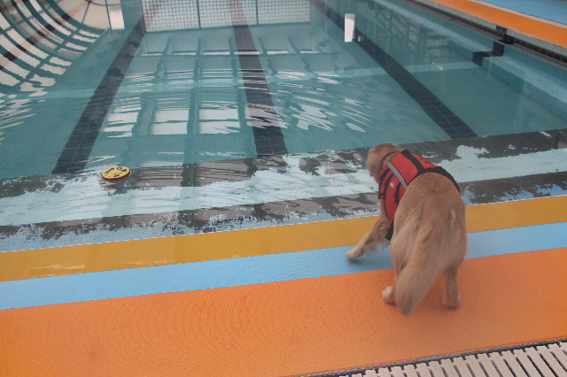 ファイル 7119-3.jpg