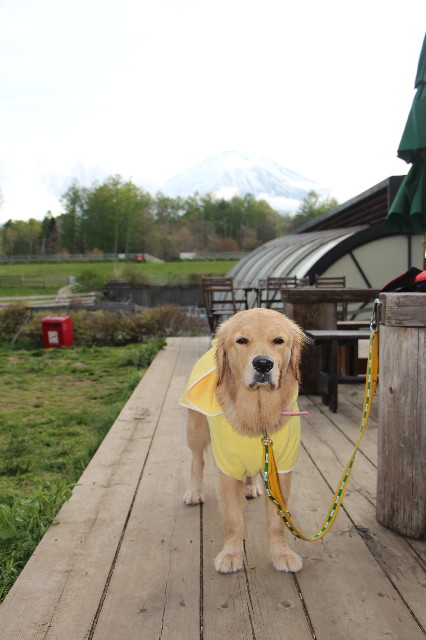 ファイル 7119-5.jpg