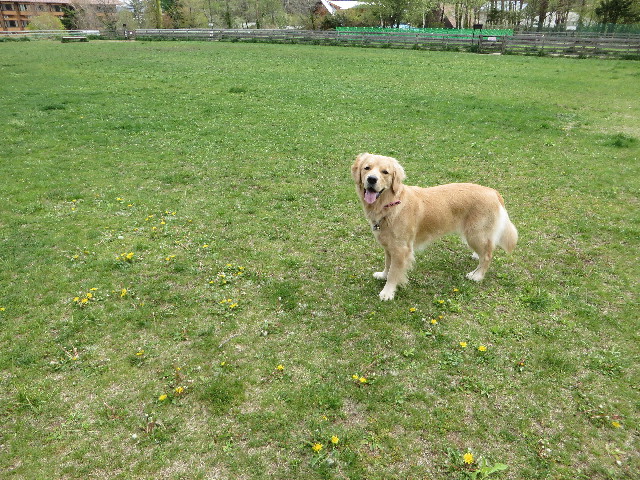 ファイル 7120-2.jpg