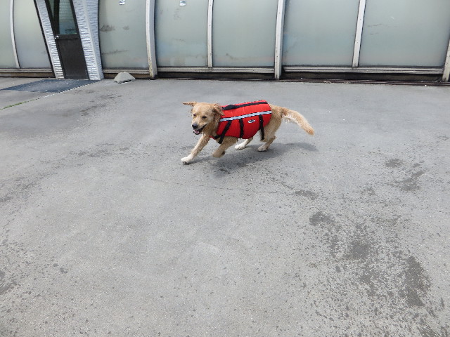 ファイル 7120-4.jpg