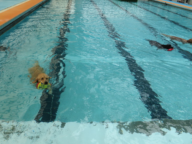 ファイル 7120-5.jpg