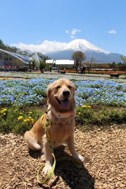 ファイル 7121-5.jpg