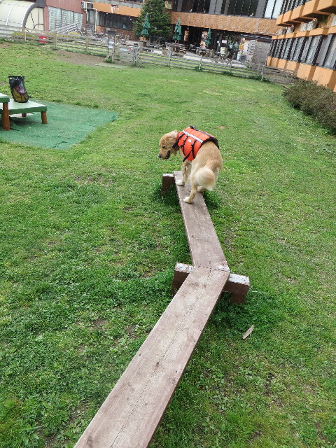 ファイル 7122-2.jpg