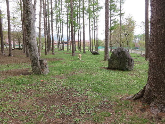 ファイル 7122-5.jpg