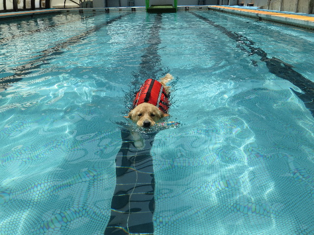 ファイル 7123-1.jpg