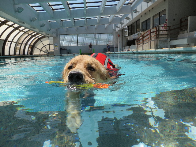 ファイル 7124-2.jpg