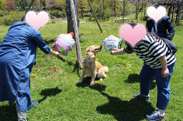 ファイル 7125-1.jpg