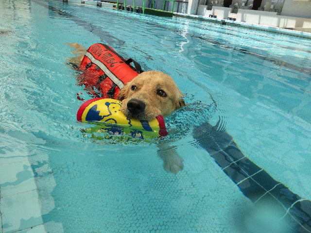 ファイル 7126-5.jpg