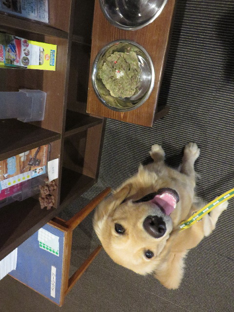 ファイル 7127-1.jpg