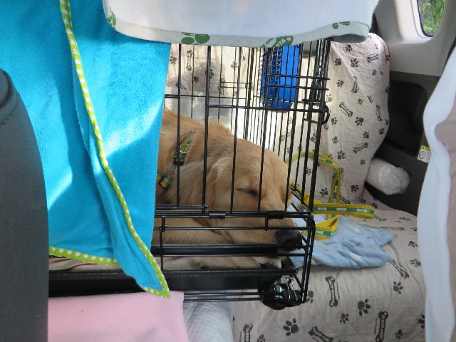 ファイル 7127-5.jpg