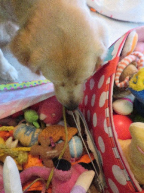 ファイル 7130-1.jpg