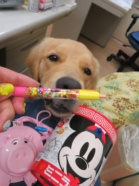 ファイル 7130-2.jpg