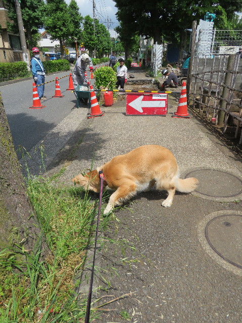 ファイル 7130-4.jpg