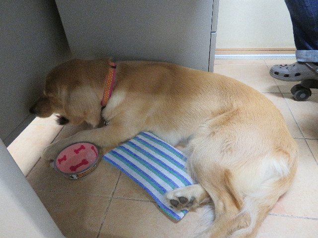 ファイル 7130-5.jpg