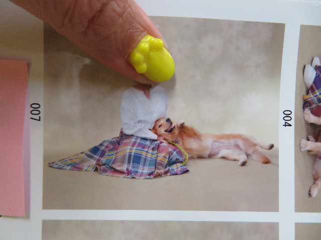 ファイル 7136-2.jpg