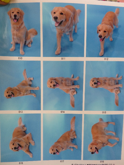 ファイル 7136-3.jpg