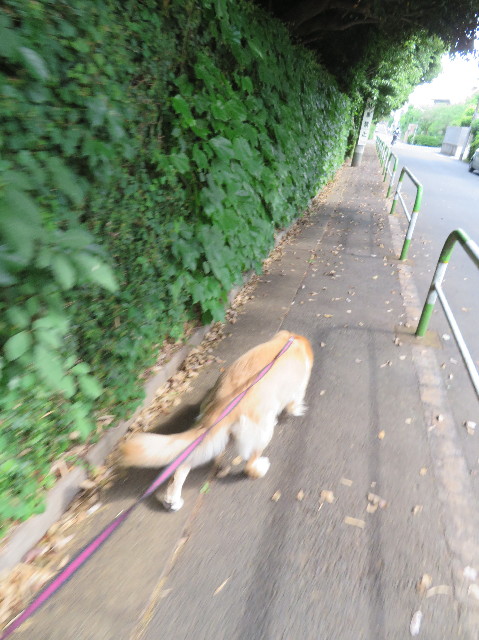 ファイル 7136-4.jpg