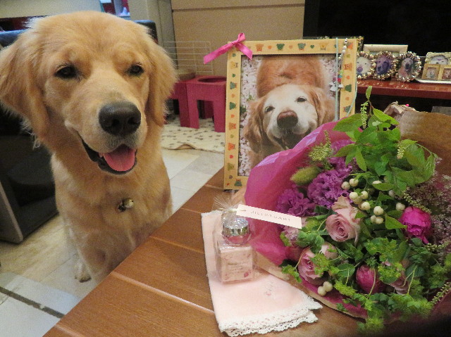 ファイル 7139-4.jpg