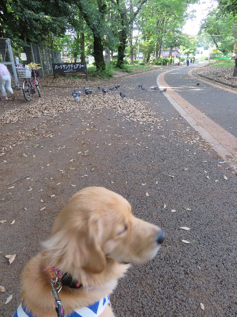 ファイル 7141-1.jpg