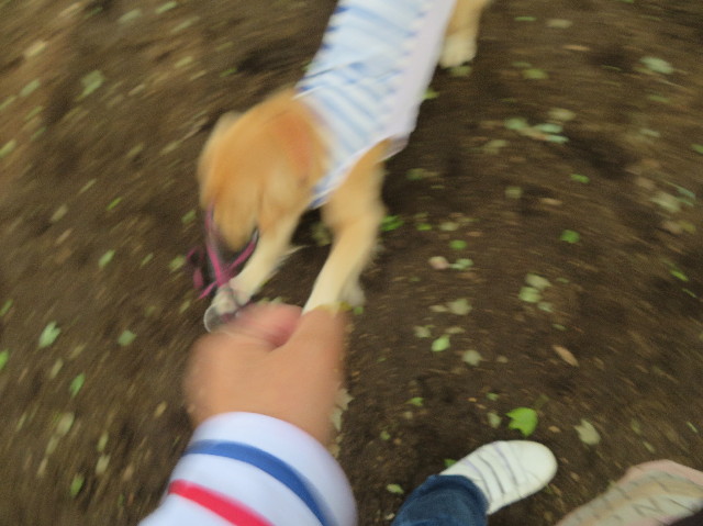 ファイル 7141-2.jpg