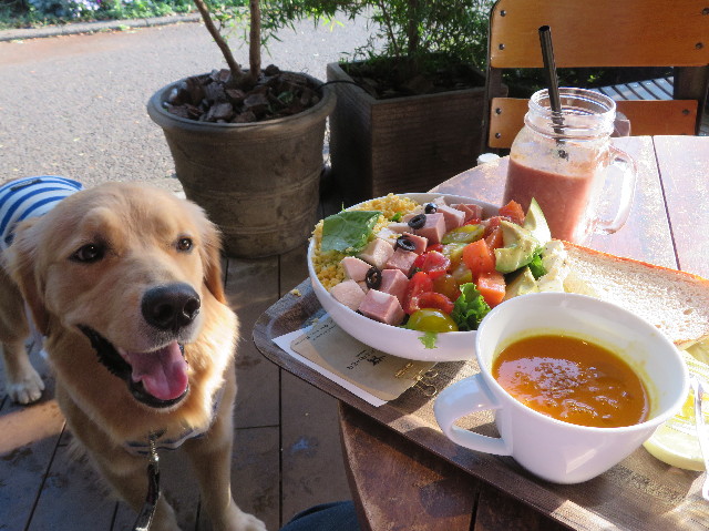 ファイル 7141-3.jpg