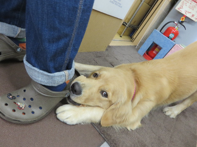 ファイル 7144-2.jpg