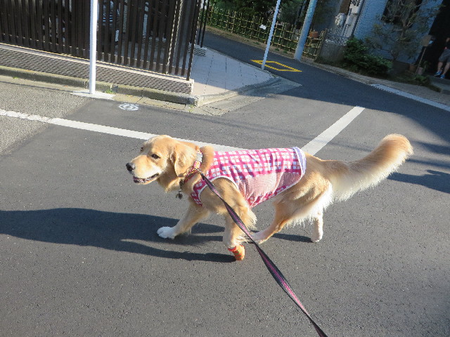 ファイル 7144-3.jpg