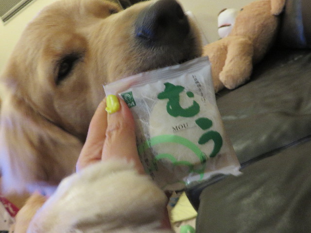 ファイル 7151-1.jpg