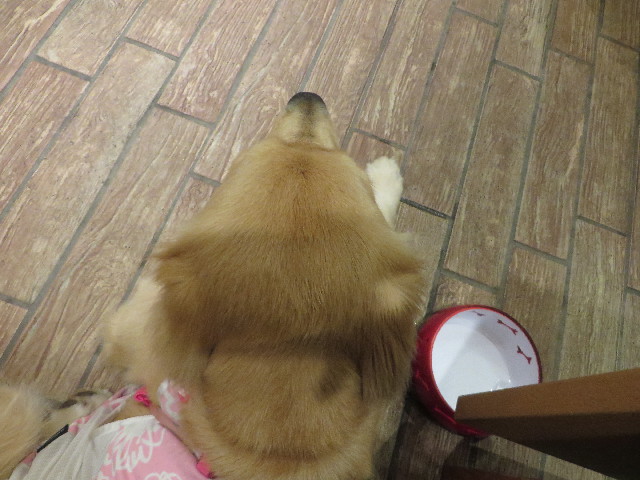 ファイル 7152-5.jpg