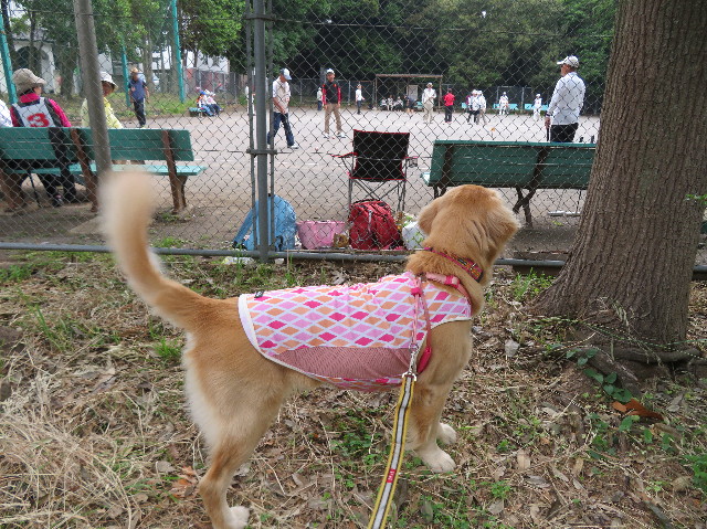 ファイル 7156-1.jpg