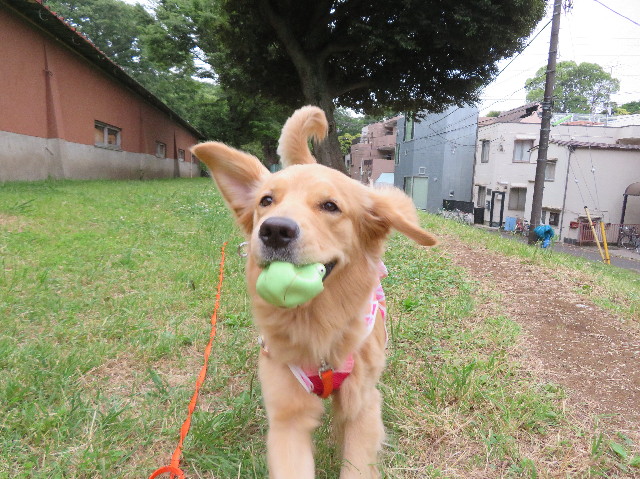 ファイル 7156-3.jpg