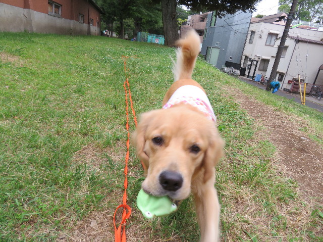 ファイル 7156-4.jpg