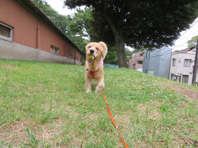 ファイル 7156-5.jpg